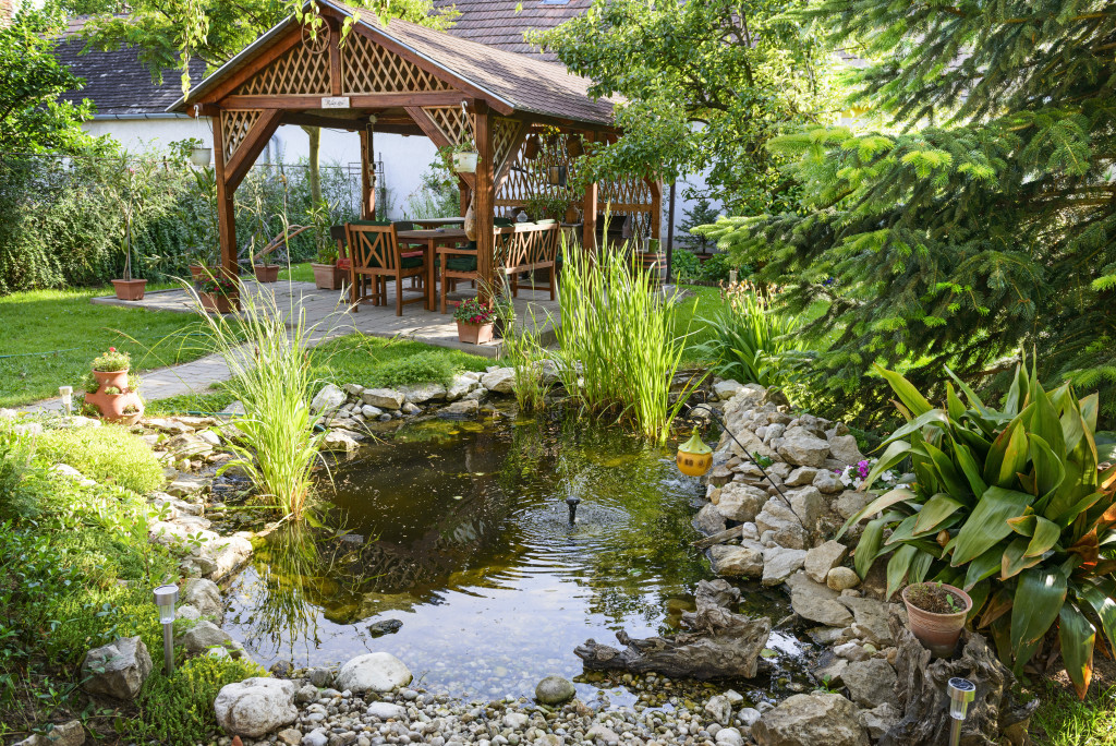 backyard garden